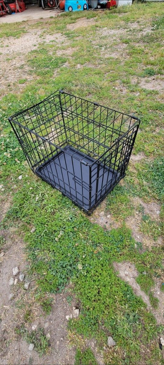 GAGE FOR SMALL PUPPY . 30.00 NO LESS