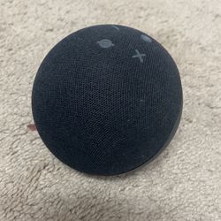 Alexa gen 4