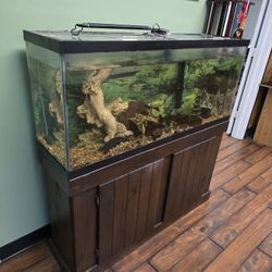 Fish Tank For Free!!