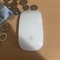 Apple Mouse 