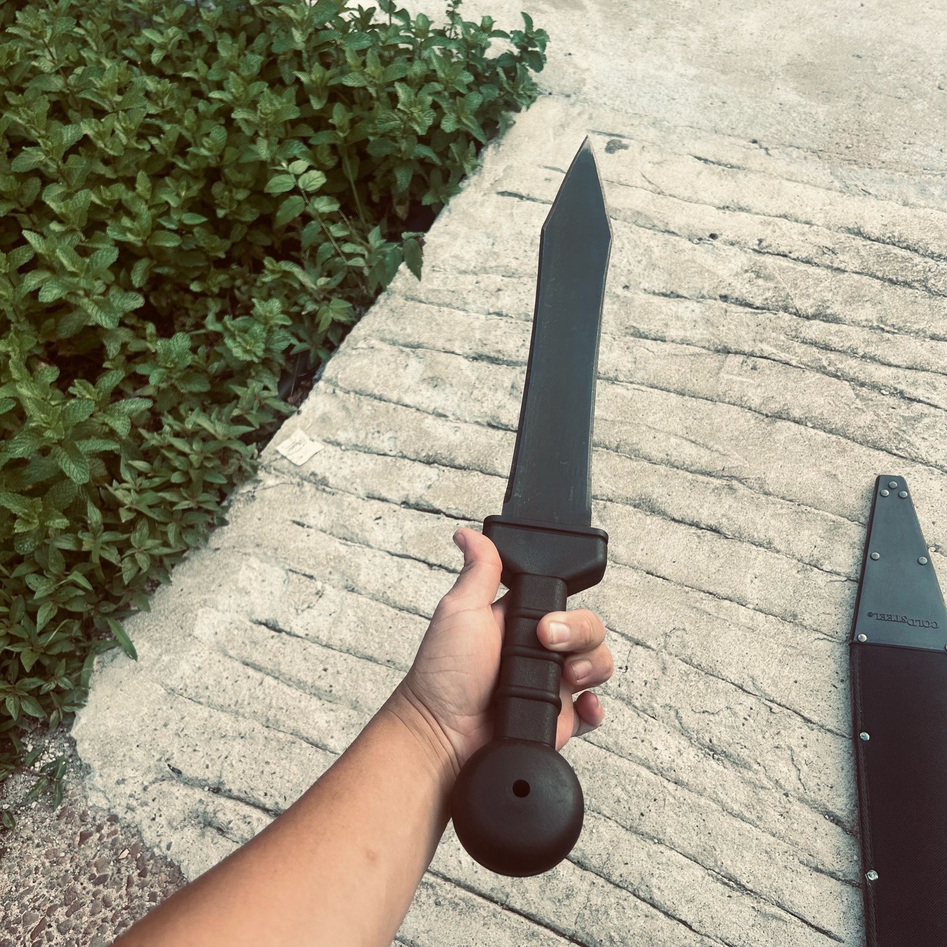 Sword