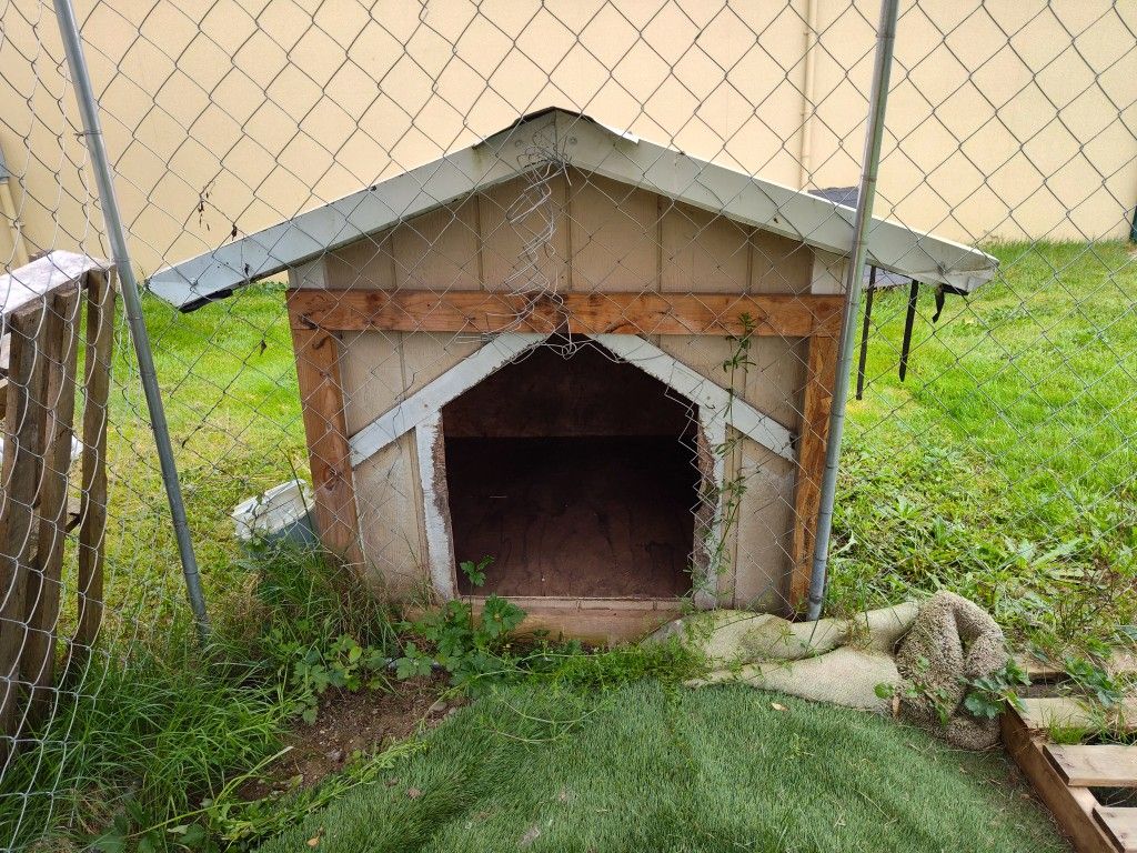 Dog Igloo, House And Kennel