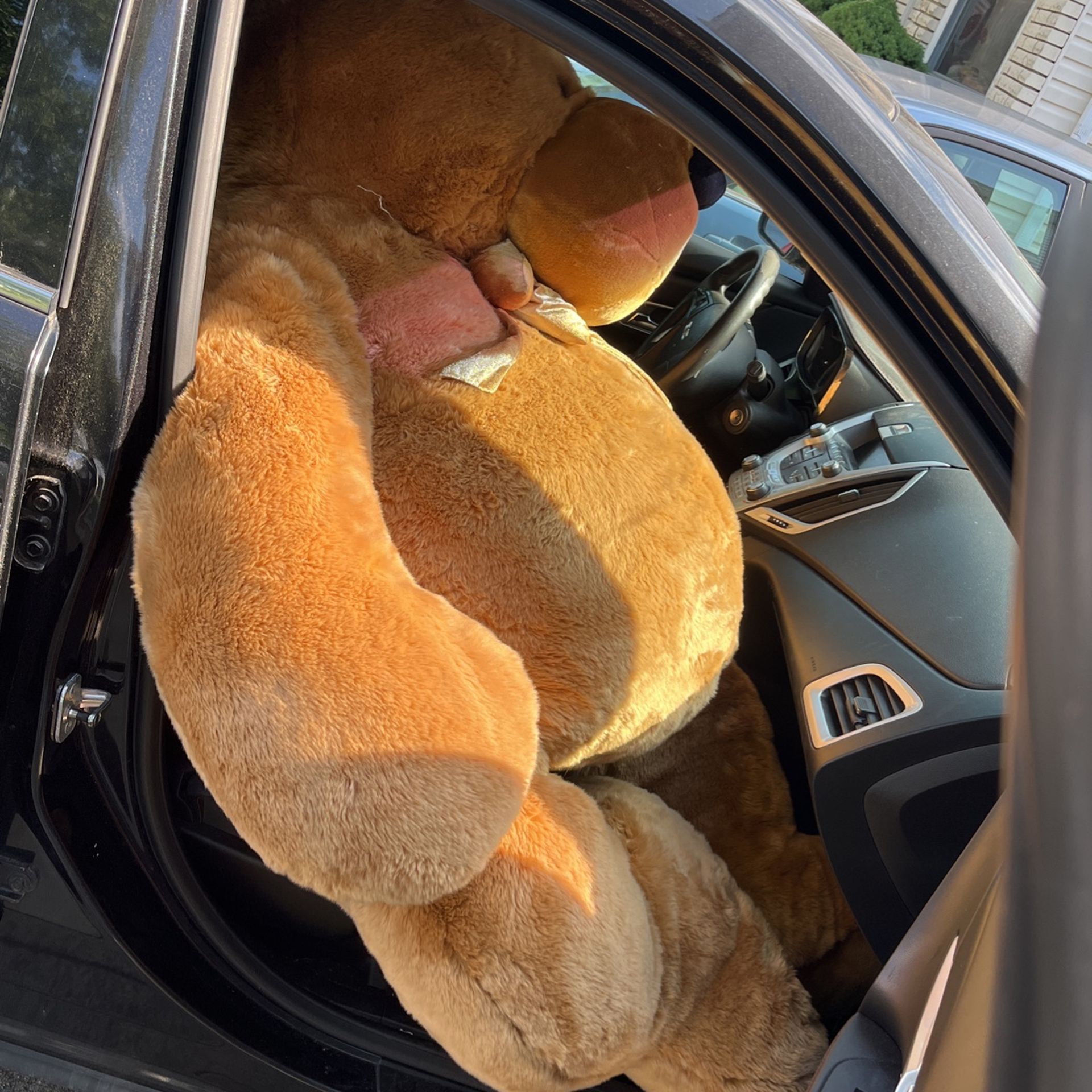 Oversized Teddy Bear