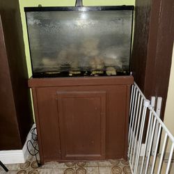 Fish Tank with Stand & Light — Great Starter Setup, Must Go Today!