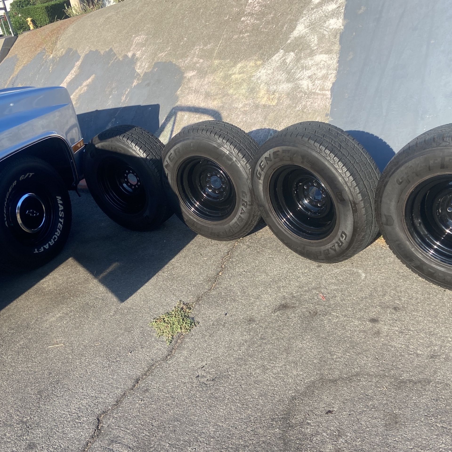 Smoothie Wheel , Dog Dish Hub Caps