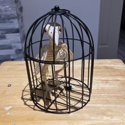 Halloween Bird In cage