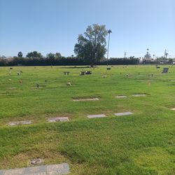 6 Burial Plots- Resthaven/Carr - Tenney Memorial Gardens (Phoenix, AZ)