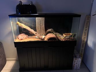 55 gallon dragon setup all included