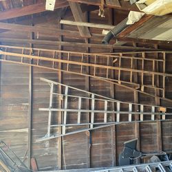 15ft Fruit Ladders 