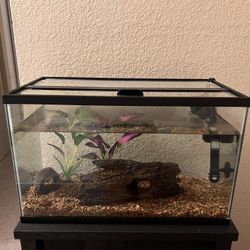 10 Gallon Aquarium