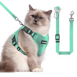 Cat Harness and Leash