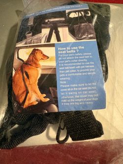 Seat belt for dogs