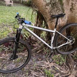 Pipedream Moxie Hardtail Steel 29er