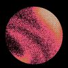 vizzlesupply