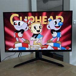 LG 27" QHD IPS Gaming Monitor