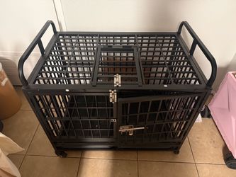Kennel