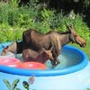 It’s Getting Hot Outside