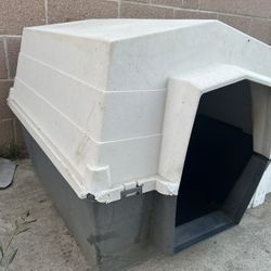 Dog House 