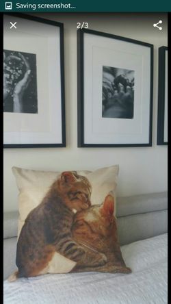 Cats Kitten Pillow Bed Chair Couch