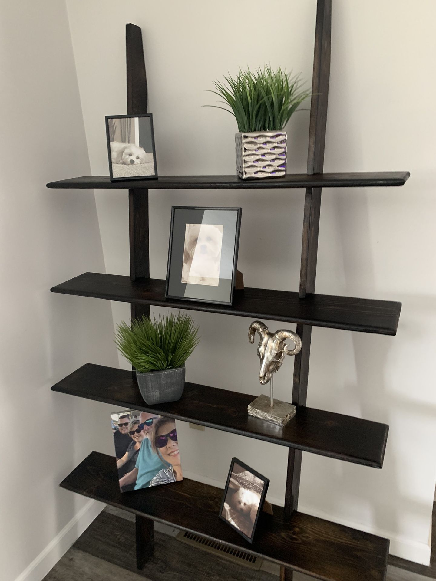 Display Rack/Plant shelf.