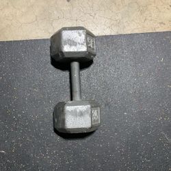35lb Dumbbell X2