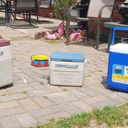 Set of 3 Coleman coolers in various sizes.