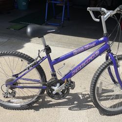 Quick Silver Pacific Mountain Bike