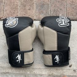 Hayabusa Boxing / Muay Thai Gloves (12oz, Medium)