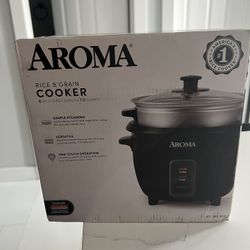 Rice Cooler