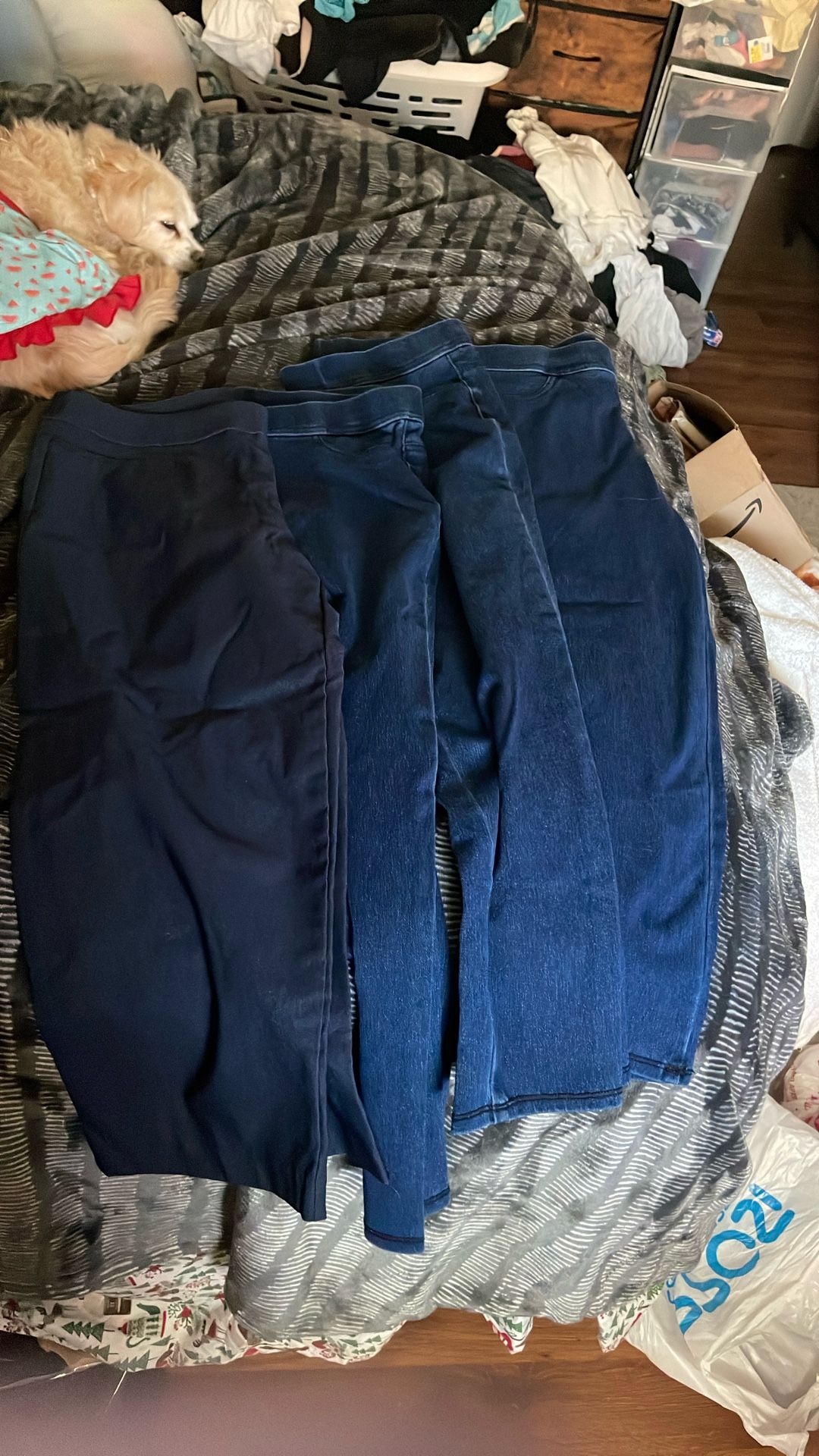 Jean Ankle Pants Sizes 4/6 8/10new All 4 Pairs