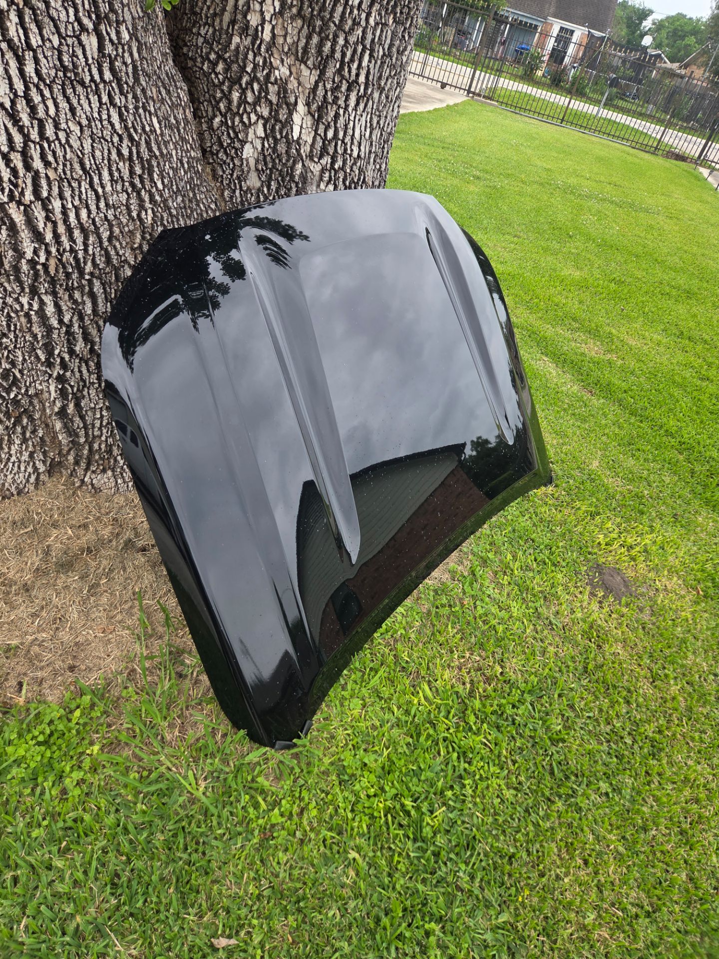 Hood for nissan frontier year 2022 up 2026