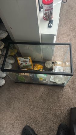 hámster stuff and fish tank