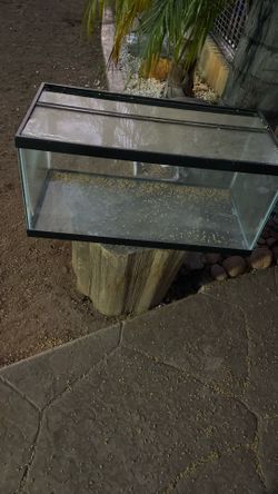 Free Aquarium
