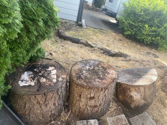 Logs