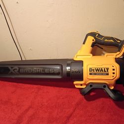 XR 20 Volt DeWalt Brushless Blower Tool Only $$135
