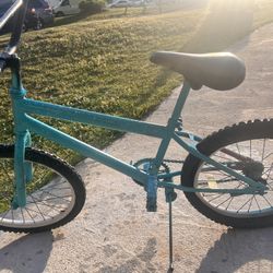 Spray Painted Huffy Bike