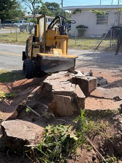Stump Grinder