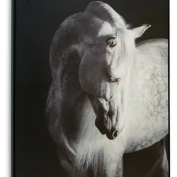 Black/White Beautiful Horse wall art