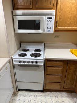 Electric stove and microwave