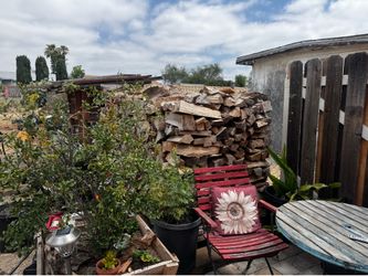 Oak Firewood