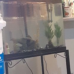 Fish Tank  Decoration  Filters  Grave  Stand