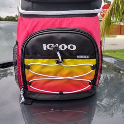 Small Igloo Backpack 