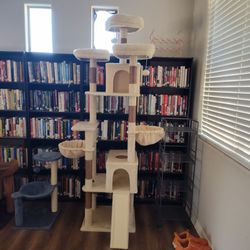 Cat stuff