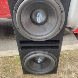 12 Subwoofer 