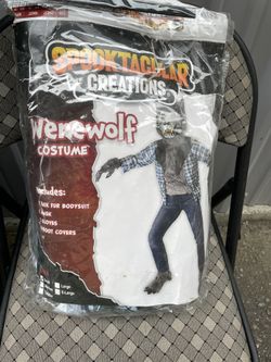 Boy Costume Size 7 Years Old (Small )