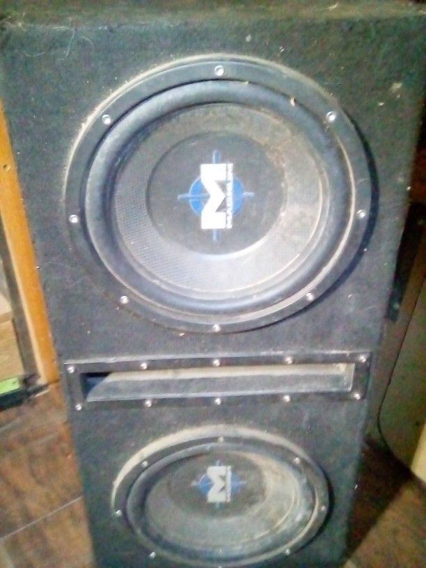 Two Magnum 10" 8-ohm subwoofers