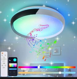 HENTAG LED Ceiling Light with Bluetooth Speaker
