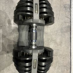 Bowflex Weights 
