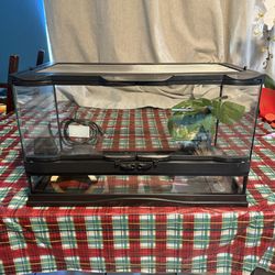 Like New Zoo Med 10 Gallon Front Opening Terrarium/Tank! (20in Length x 10in Width x 12in Height)