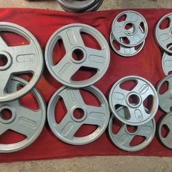 2" HOLE  OLYMPIC PLATES 165LBs
2-35s. 2-25. 2-10s. 4-5s. 4-2.5s.  
11525 S HALSTED DUNKIN DONUTS/7111.S WESTERN WALGREENS 
150$  CASH ONLY AS IS 